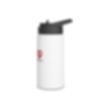 Thumbnail: Stainless Steel Water Bottle