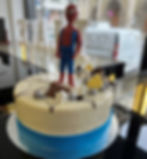 TORT SPIDERMAN