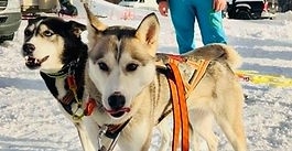 NM sprint del 2 Hamar