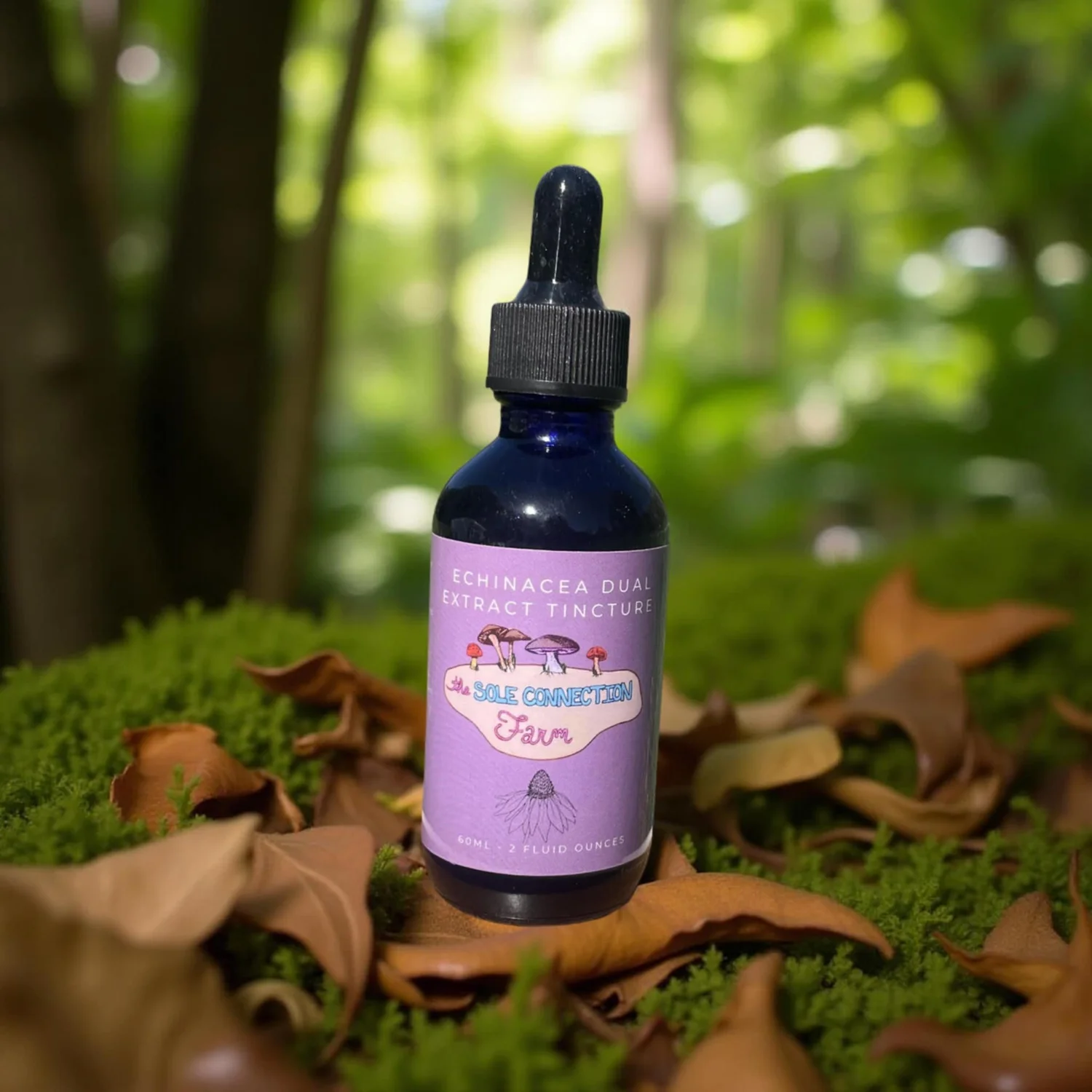 Echinacea Dual Extract