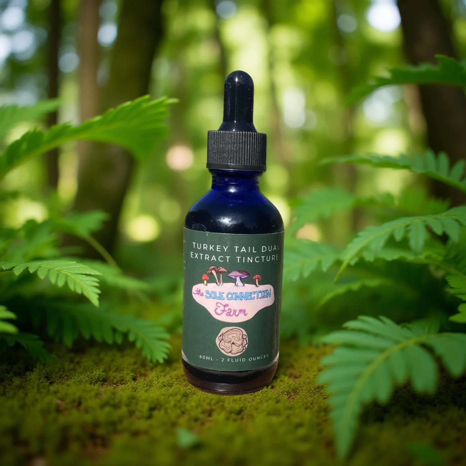 Turkey Tail Dual Extract