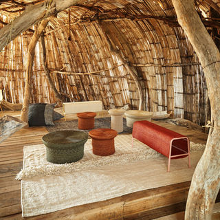 Exploring these Superb, Rapidly-Renewable Vegetable Materials.