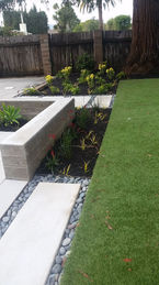 planting beds 8.jpeg