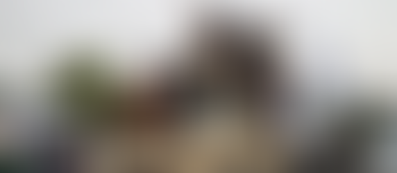 Segregation and Violence Under Taliban Rule In Afghanistan