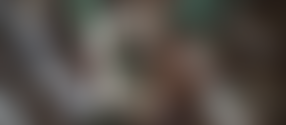 Holly Jolly Sustainable Christmas