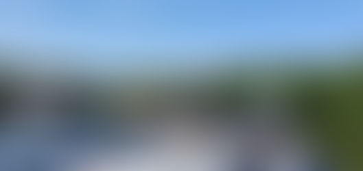 Eté 2019... Riquet la retraite