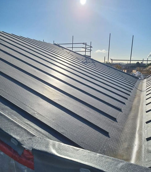 WhatsApp Image 2021-11-01 at 9_edited.jpg