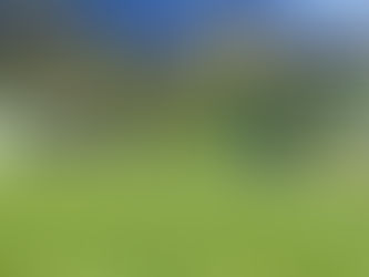 Giornata formativa per il settore femminile