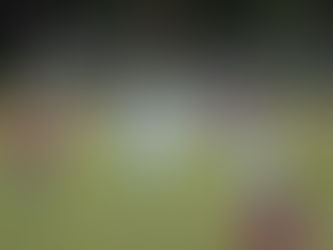 Partenza falsa per il Roncegno, derby all'Ortigaralefre