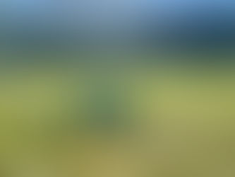 Poker di Baldessari, gli Esordienti battono la Dolomitica