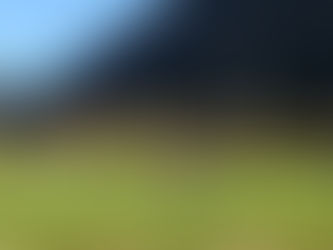 Sabato con i piccoli campioni, un bel pomeriggio di calcio!