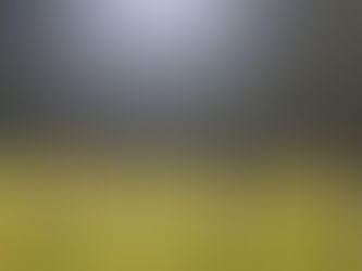 Successo in trasferta per il Roncegno, due su due in Coppa Dao