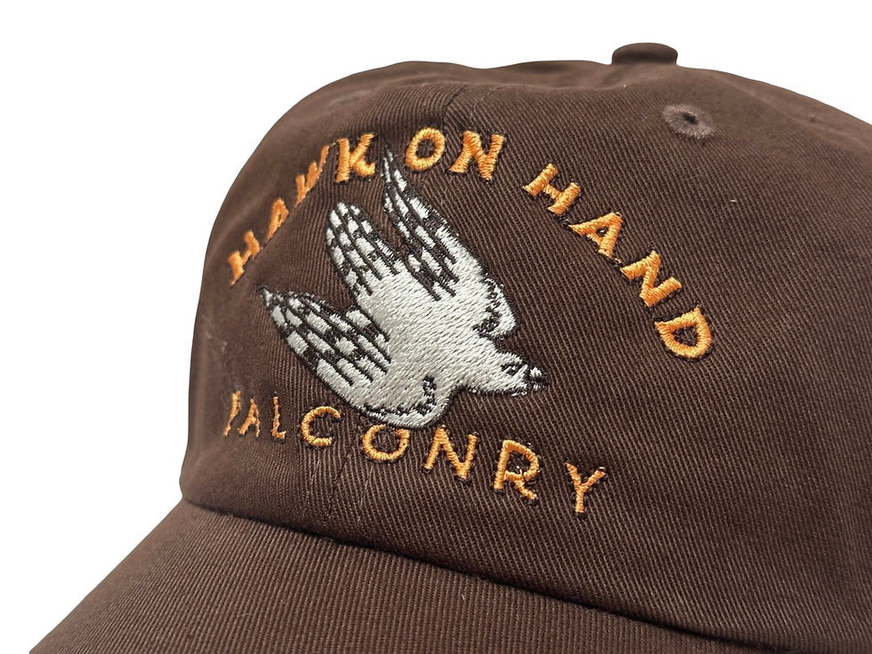 Thumbnail: Hawk on Hand Dad Hat