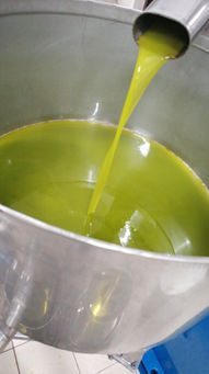 IMG-20221020-WA0006.jpeg