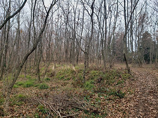 20210213_091353.jpg