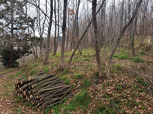 20210213_091358.jpg