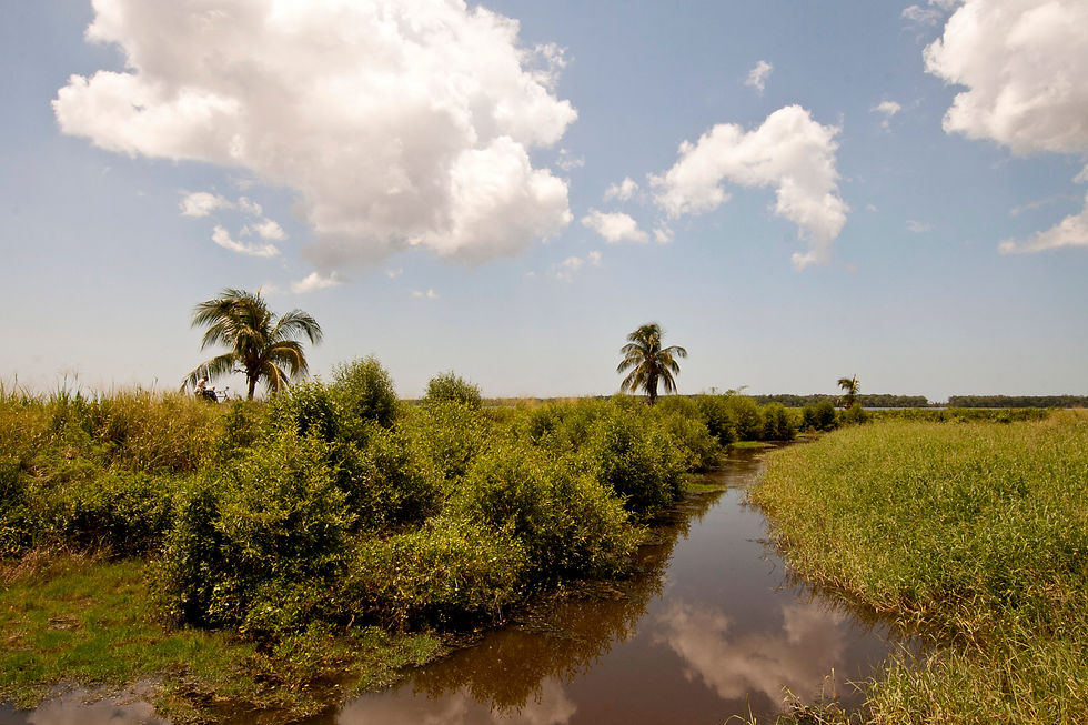 To the Suriname river