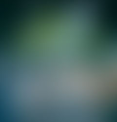 FrightFest announces monstrous 2024 line-up