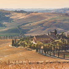 Picture of a typical Tuscan scene. A villa in the distance surrounded by pencil pines, set in the rolling hills of Tuscany