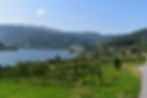 DSC_0380.JPG