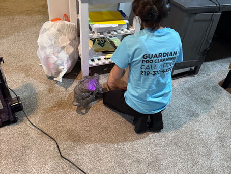 Why Residents in Shorewood Forest Trust Guardian Pro Cleaning