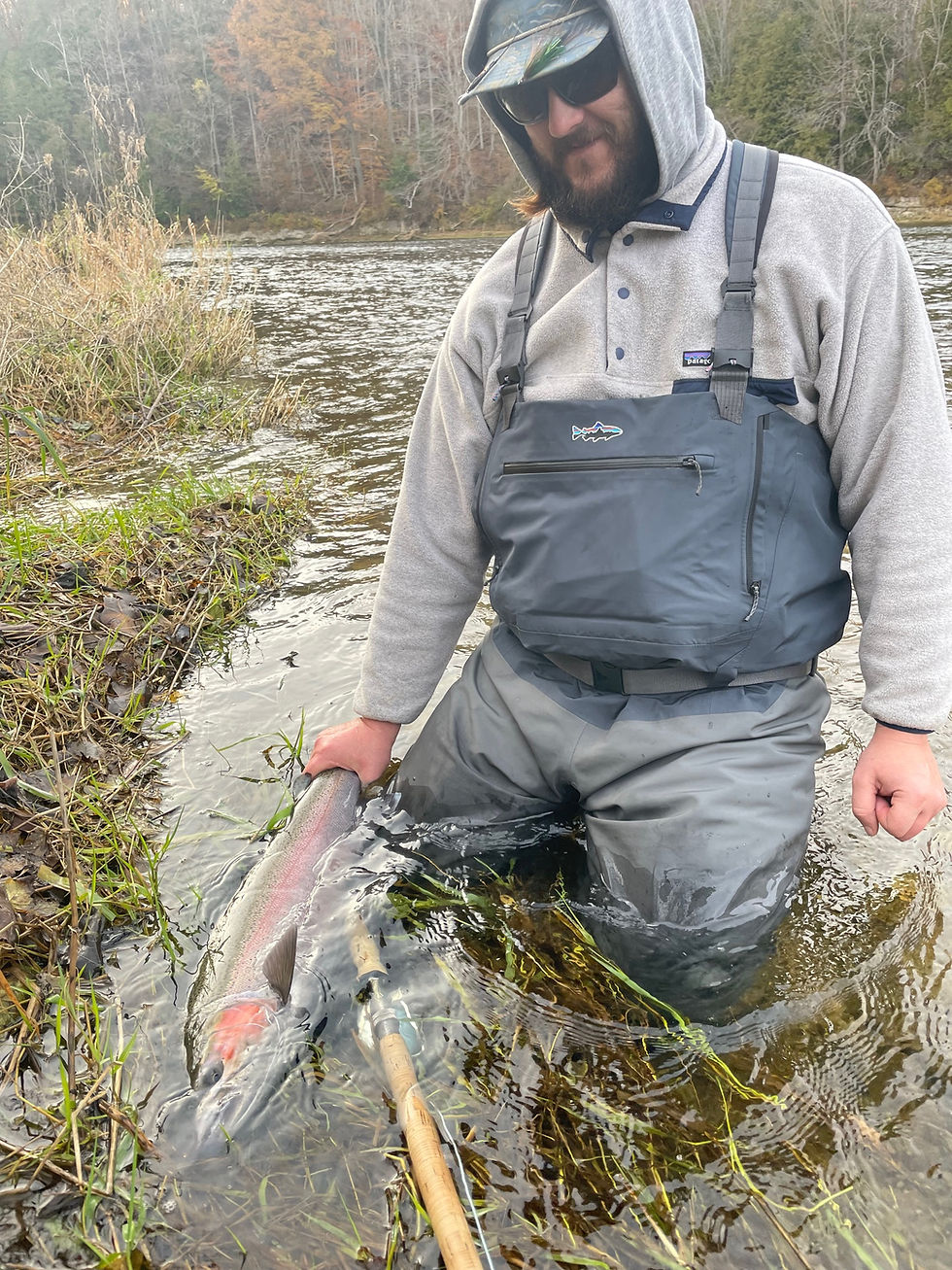 Steelhead buck resting in the grass beside Pitor during a day outdoors in Ontario.
