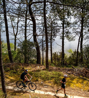 WhatsApp Image 2026-04-12 at 16.38.37.jpeg