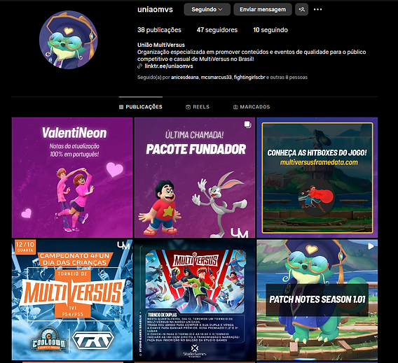 Union Multiversus Project 2
