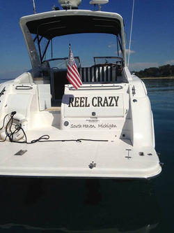 Regal 3260 Commodore