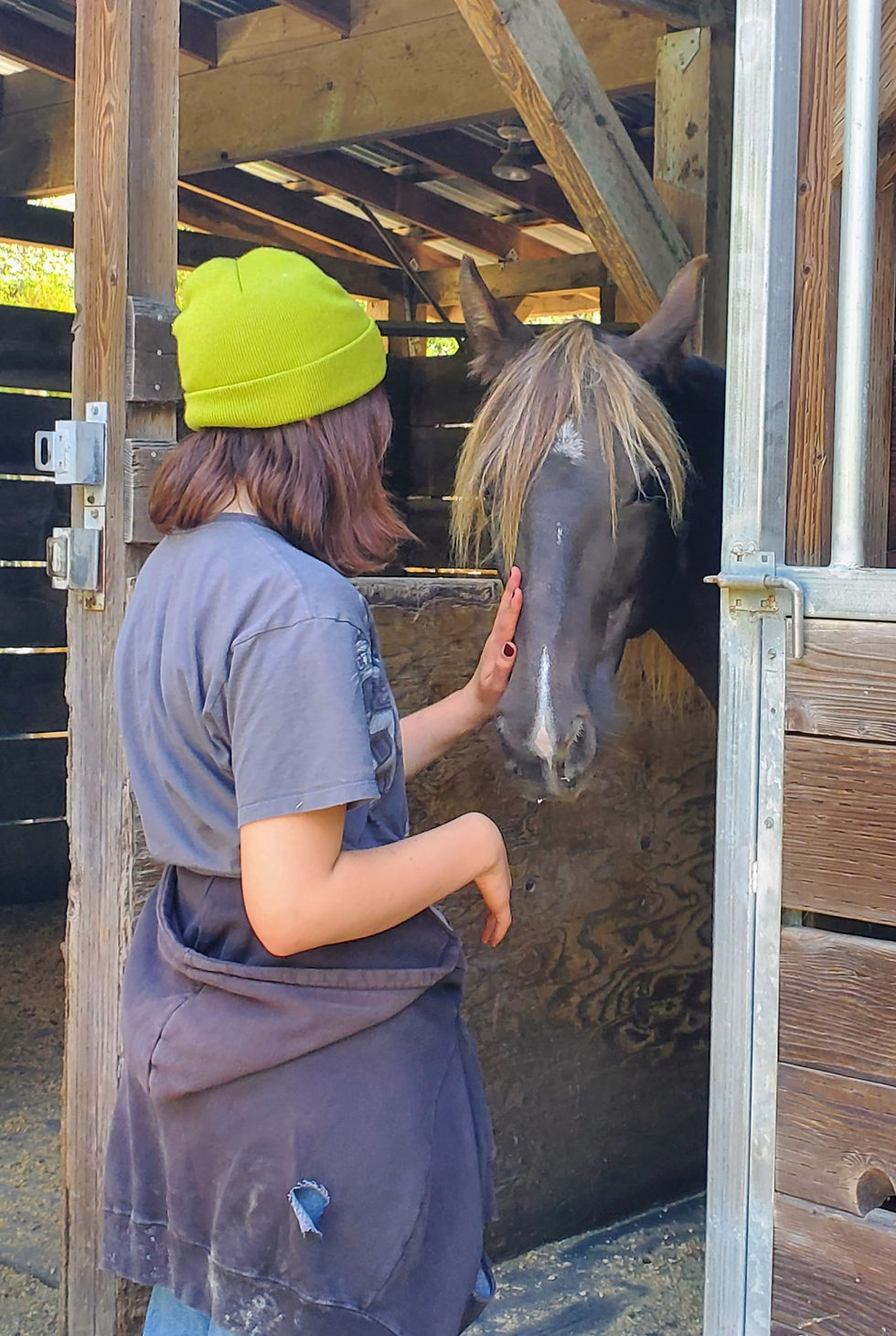 Hanging with Horses: Middle School