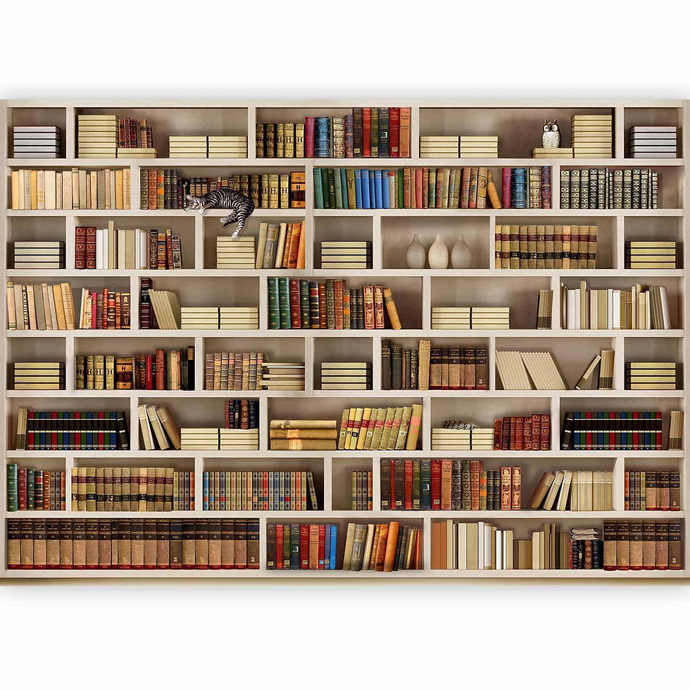Miniatura: Biblioteca del hogar