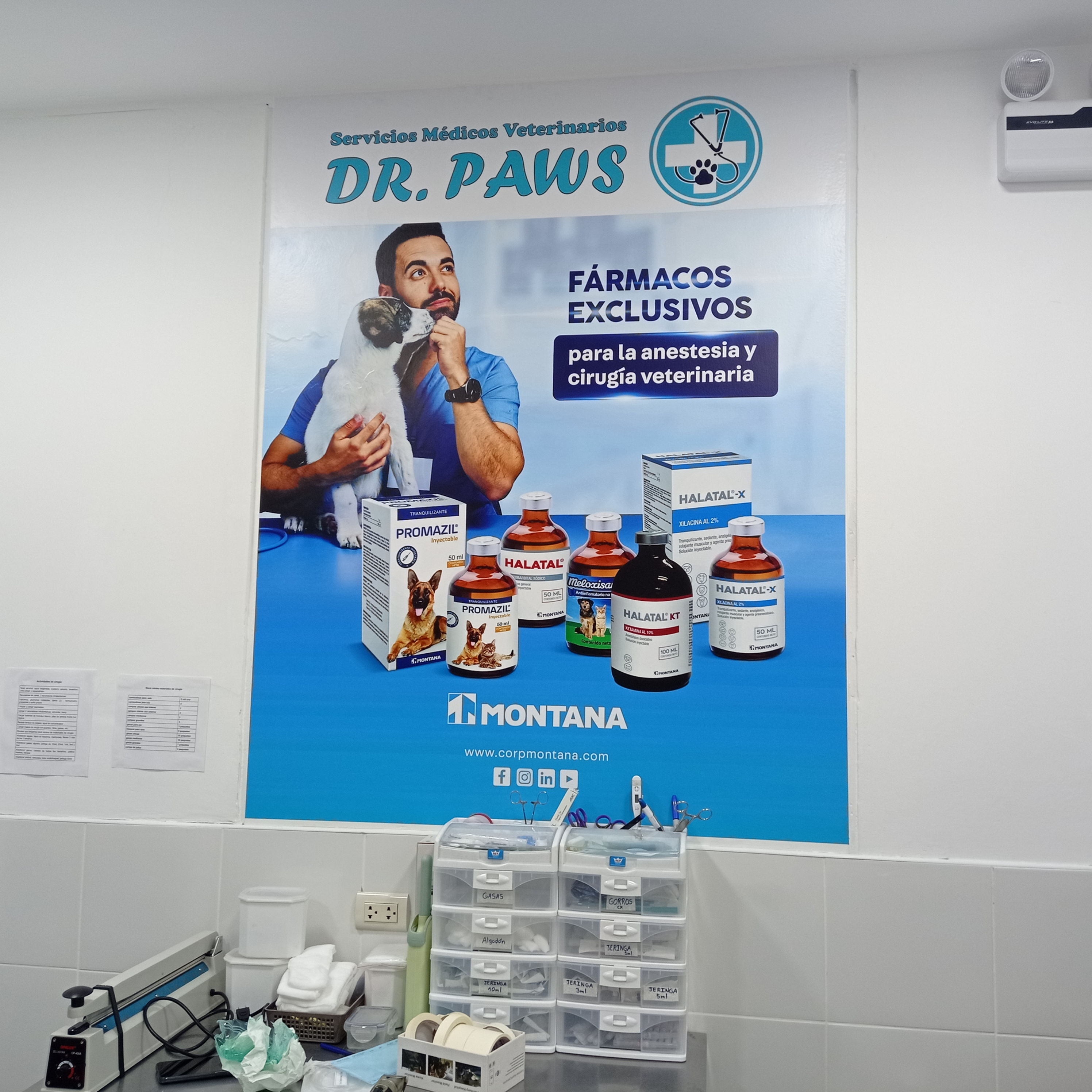 Dr. Paws - Veterinaria