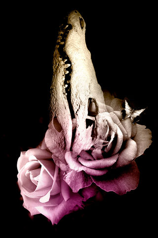 Les maux corporels #17 - 2020