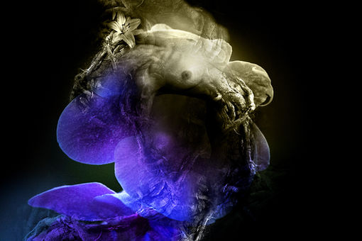 In the shadow of flowers #2