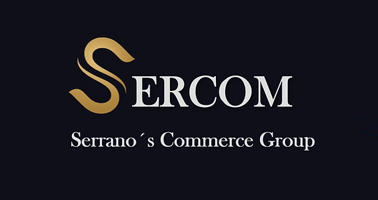 logo 1.png