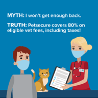 Myths about pet insurance