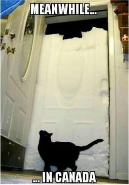 Closure Due To Blizzard