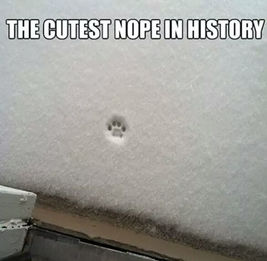 Snow Day - Early Closure