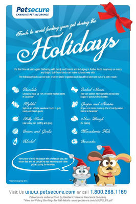 Holiday Treats Our Pets Shouldnt Have!