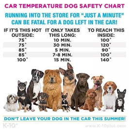 Too hot in the car for pets!