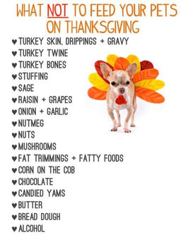 Happy Thanksgiving!