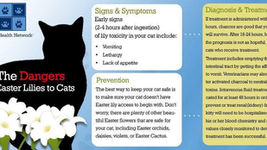 Easter Lily Awareness