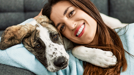 Sharing Information on Trupanion Pet Insurance