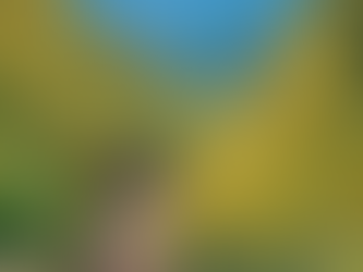 DU LỊCH ĐÀ LẠT THÁNG 11
CẦN LƯU Ý GÌ !??