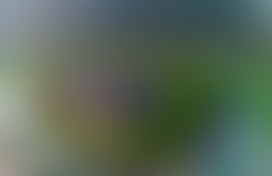 Tuần trước tụi mình đã đưa bạn đi Đà Lạt rồi, hôm nay mình sẽ dắt các bạn đến một thành phố khác nhé