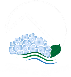 0 original Terras de Bruma BRANCO sem fundo.png