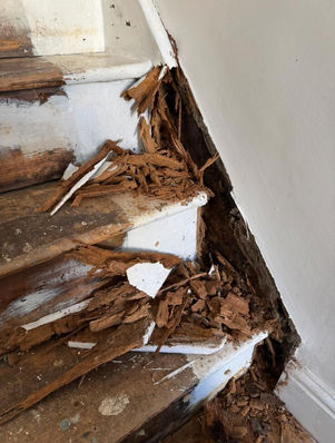 Rotten staircase repair