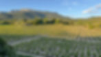 Beautiful scenary of spanish vineyard