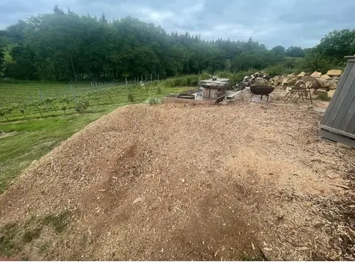 Tree removal after photo