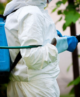 Pest control management man in protective suit